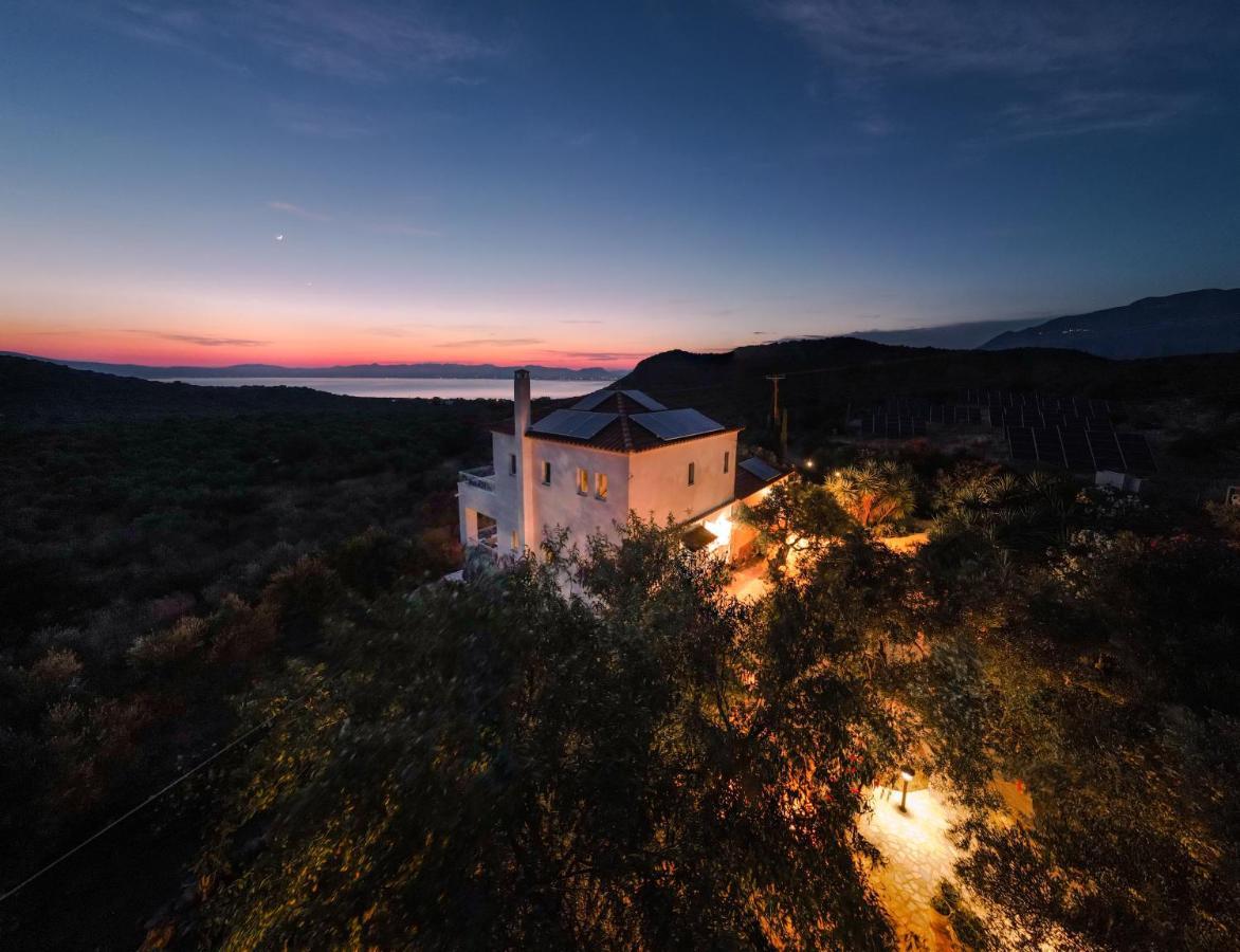 Appartement In Olive Groove House Peloponnesos Western Mani Kalianeika Bagian luar foto