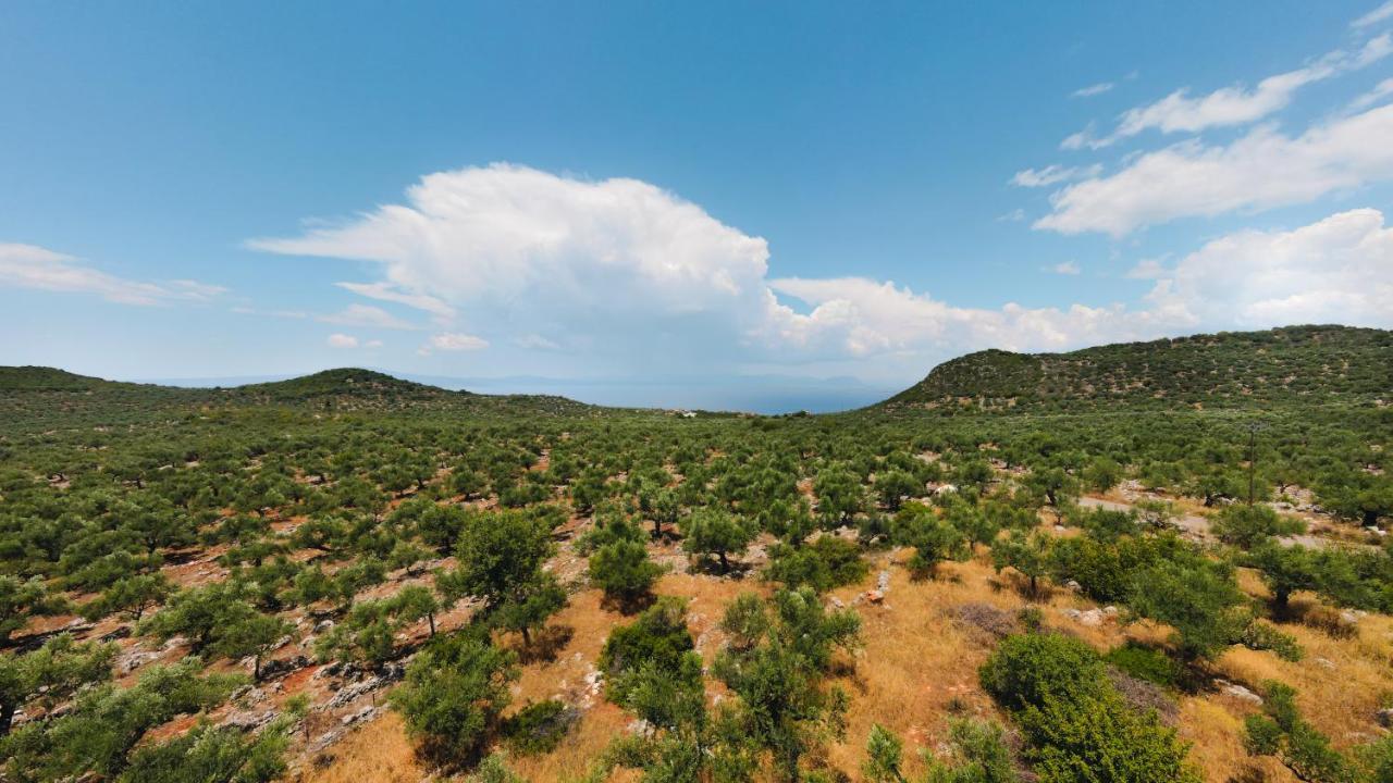Appartement In Olive Groove House Peloponnesos Western Mani Kalianeika Bagian luar foto